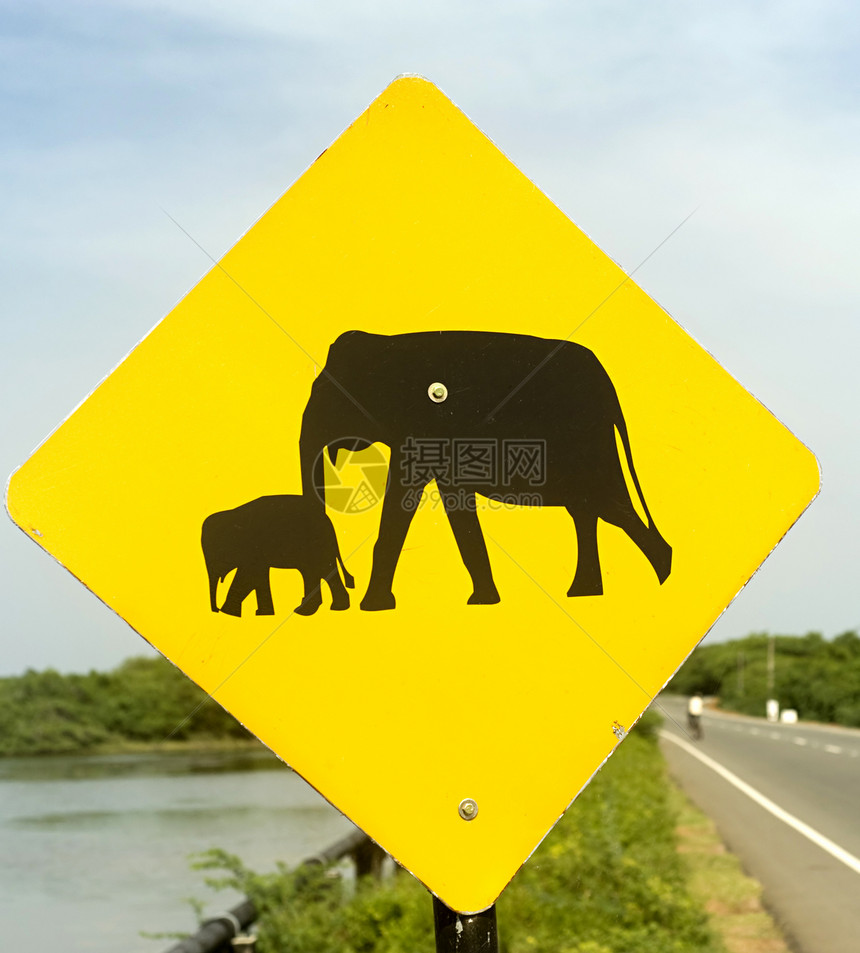 大象标志危险风景阳光树木热带警告蓝色旅行动物交通图片