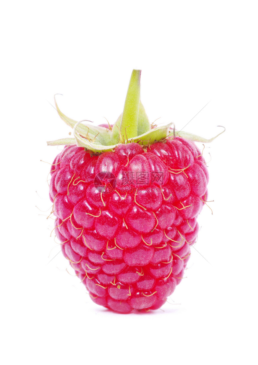 树莓草莓食物白色果味饮食红色覆盆子绿色养分甜点花园图片
