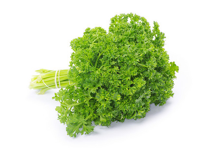 解析小枝白色味道草本植物绿色营养蔬菜烹饪多叶植物背景