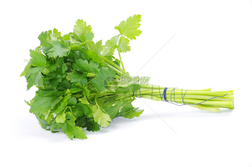 解析蔬菜味道烹饪叶子绿色多叶植物小枝食物草本植物图片