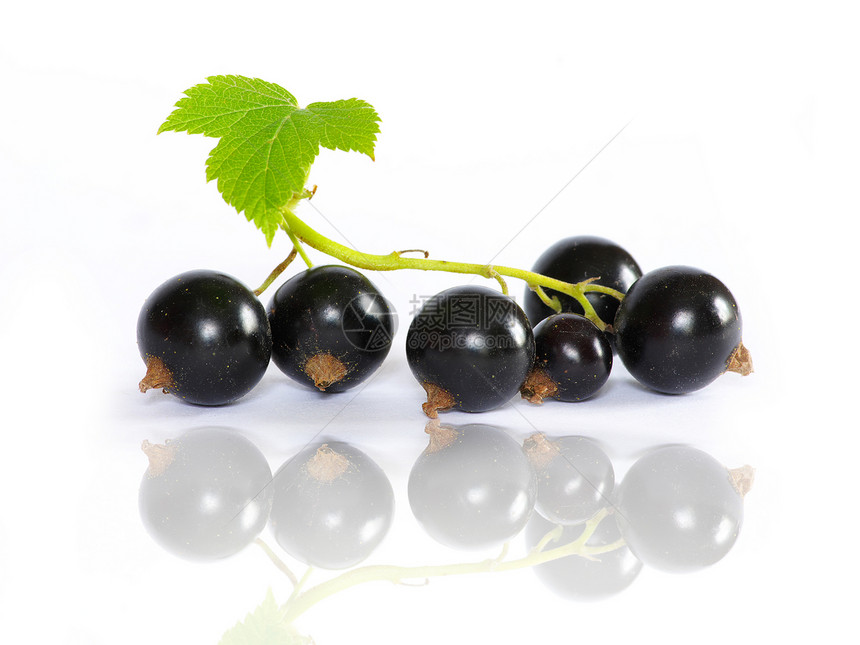 黑色曲线黑水果维生素尾巴收成营养白色膳食美味食物绿色图片