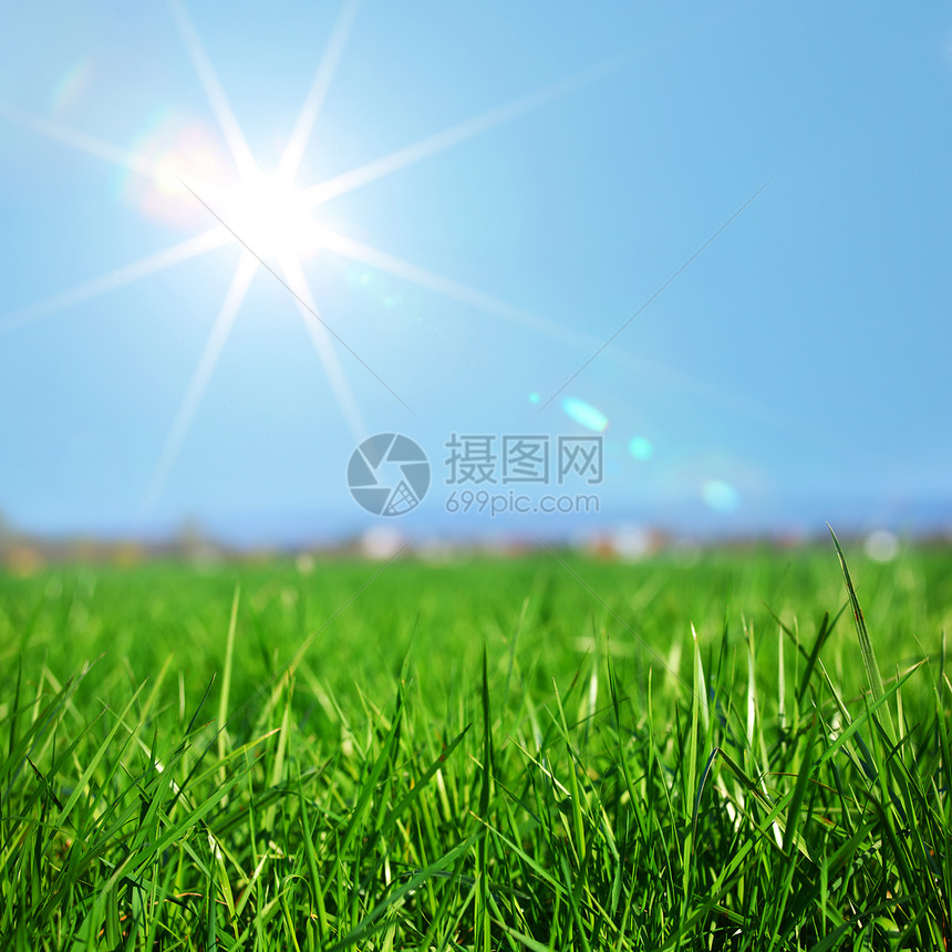 绿绿草季节土地农场太阳牧场蓝色草地天气农业场地图片