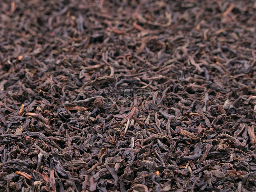 茶叶作物草本植物种植园场地生长植物杯子农场食物农业药品图片