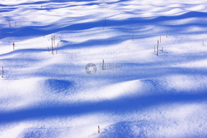 太阳和冬季雪下运动场地旅行风景土地季节森林场景顶峰阳光全景图片