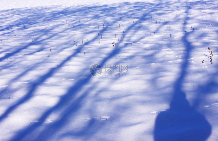 太阳和冬季雪下运动风景场景阳光冻结阴霾季节天空土地顶峰旅行图片