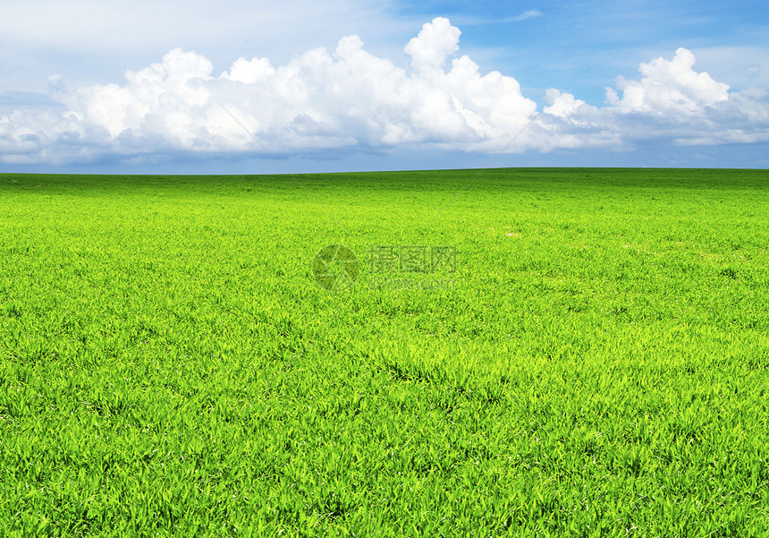 字段农场全景土地牧场阳光绿色风景场地农业地平线图片