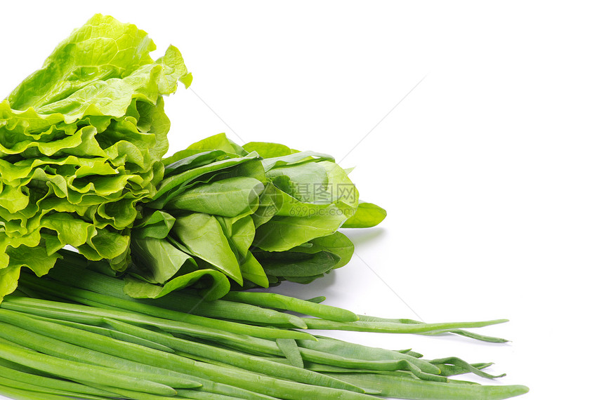 草药薄荷香料百里香枝条叶子草本植物团体白色食物香菜图片