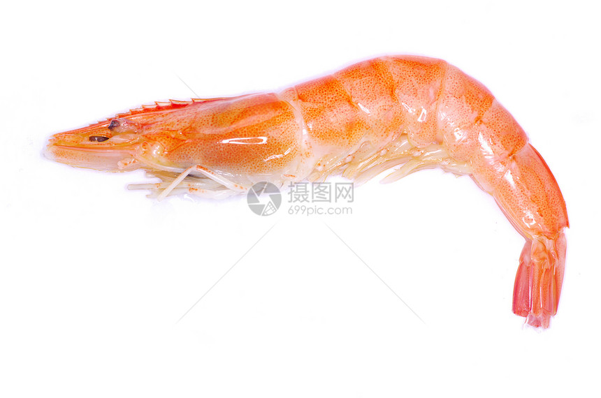 虾橙子宏观海鲜甲壳白色食物动物尾巴贝类小吃图片