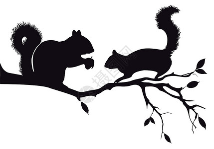 松鼠剪影树上松松鼠 矢量植物食物插图尾巴栗鼠绘画橡子饥饿坚果耳朵插画