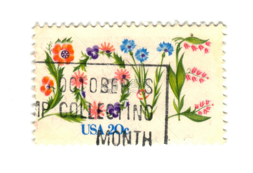 白色背景的美国邮票 20c图片