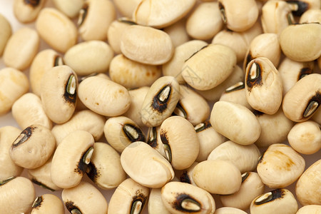 黄豆背景牛奶大豆蔬菜种子毛豆饮食豆浆豆类植物食物高清图片