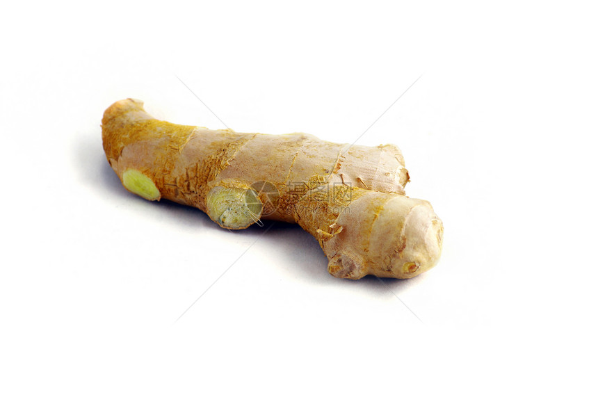 孤立白种背景的姜根白色药品食物蔬菜美食文化植物草本调味品香料图片