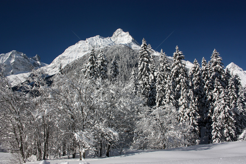 在阳光明媚的一天 清雪过后 山峰和树林远足冰川晴天雪猫高地岩石全景单板山脉滑雪图片