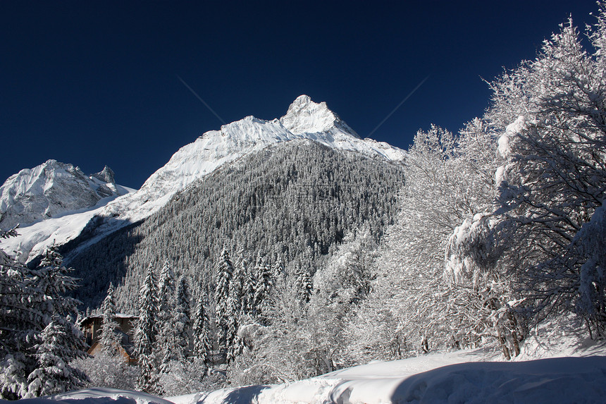 在阳光明媚的一天 清雪过后 山峰和树林空气滑雪森林岩石季节假期旅行闲暇远足旅游图片