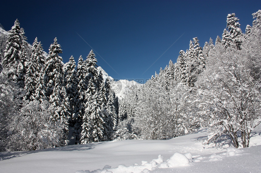 在阳光明媚的一天 清雪过后 山峰和树林椅子岩石旅行旅游单板树木空气高山蓝色高地图片