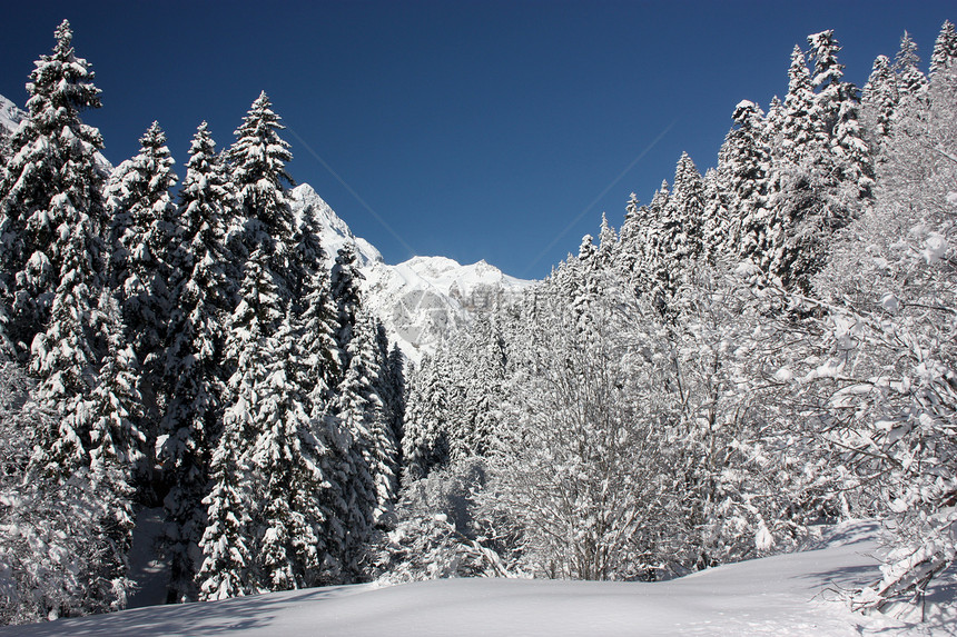 在阳光明媚的一天 清雪过后 山峰和树林椅子旅行享受岩石山脉森林闲暇旅游树木蓝色图片