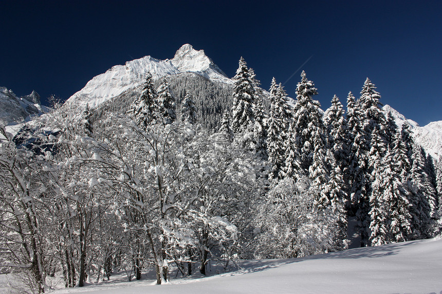在阳光明媚的一天 清雪过后 山峰和树林旅游冰川森林享受天空假期雪猫风景晴天山脉图片