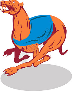 灰狗赛跑步犬类插图运动宠物动物背景图片