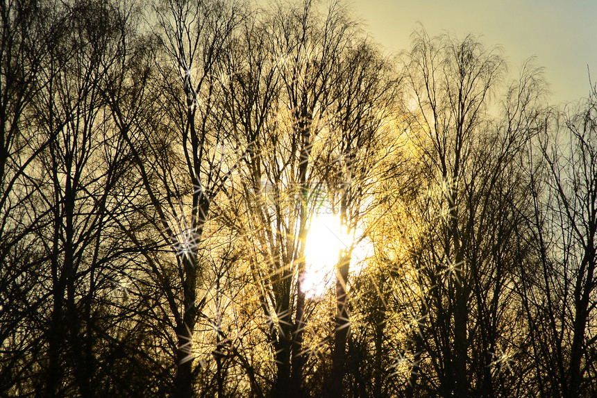 太阳日落星星阳光森林图片