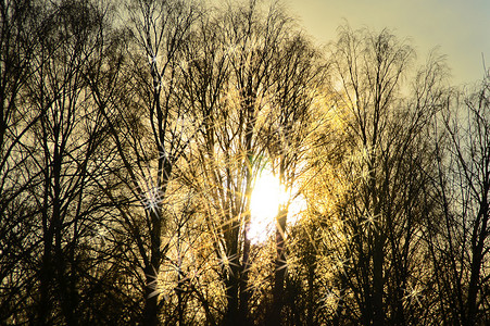 太阳日落星星阳光森林背景图片