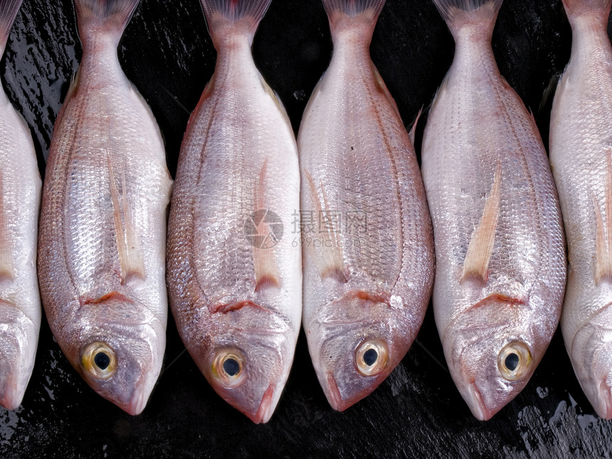 海洋油浆盐水动物食物市场渔业钓鱼鲷鱼摊位红色图片