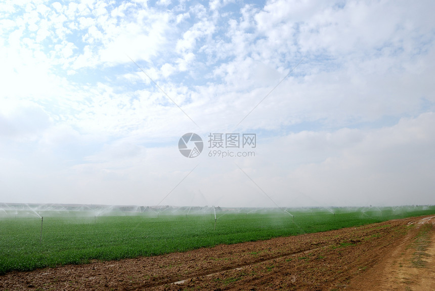 灌溉薄雾农场城市园艺草地环境喷涂场景美化技术图片