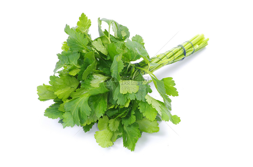 解析多叶蔬菜香菜烹饪味道小枝草本植物绿色植物健康图片