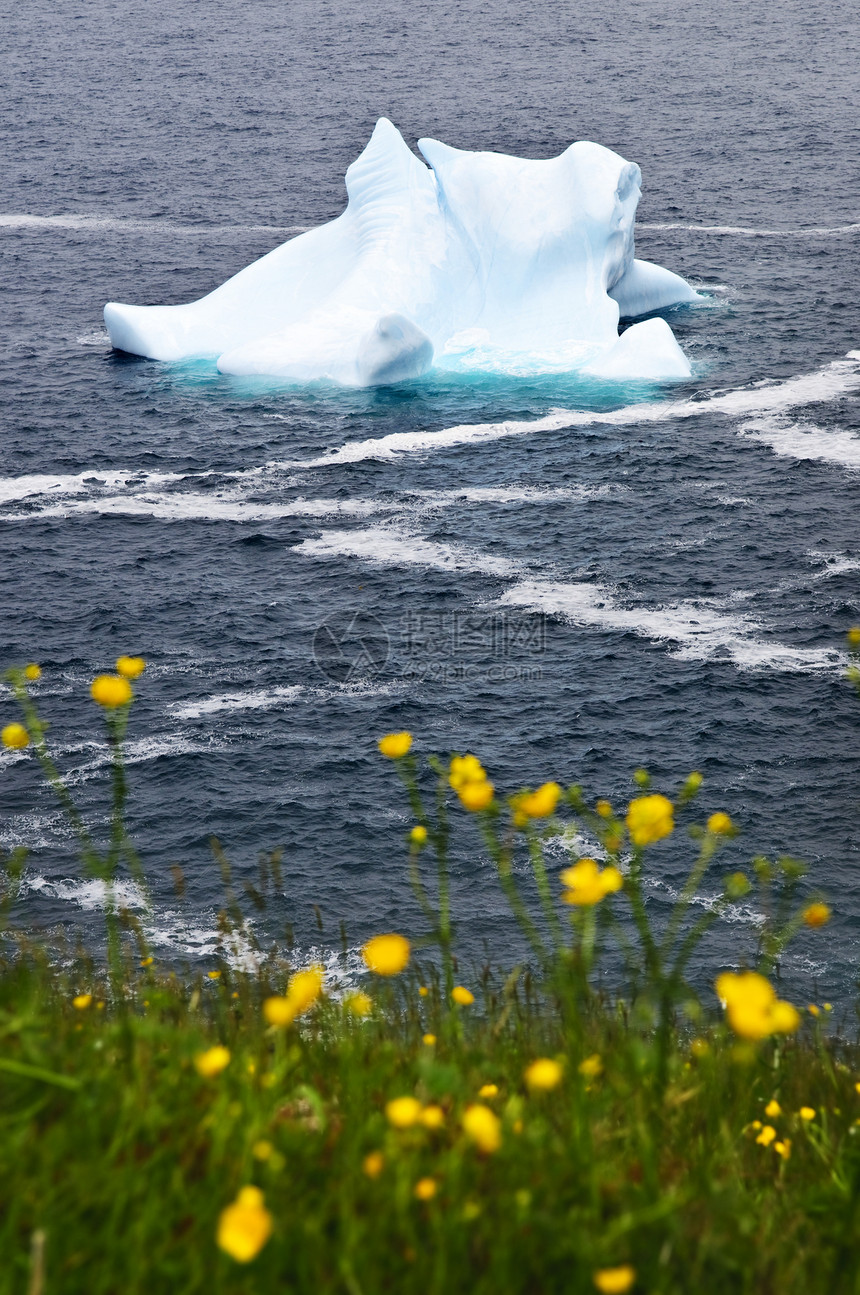 熔融冰山漂流毛茛海景海岸海洋漂移橄榄球气候全球漂浮图片