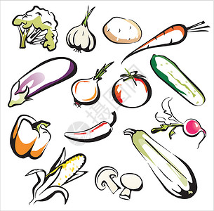 夏南瓜蔬菜图标集辣椒茄子玉米艺术洋葱土豆甜菜白色黄瓜概念设计图片