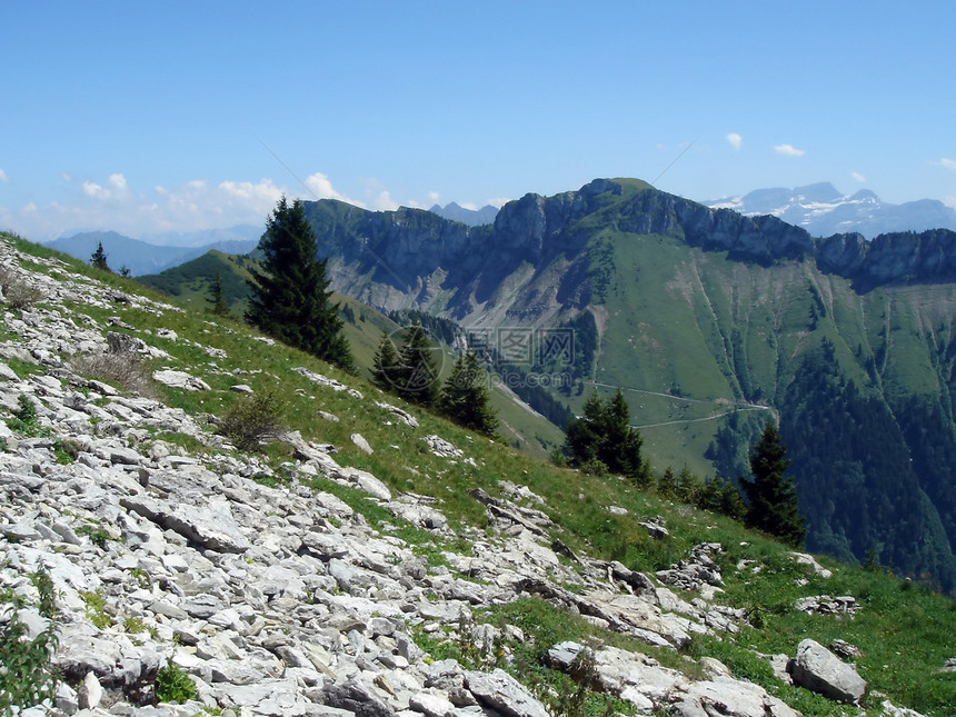 夏季前瑞士阿尔卑斯山花朵天空场地顶峰风景环境爬坡岩石旅行生态图片