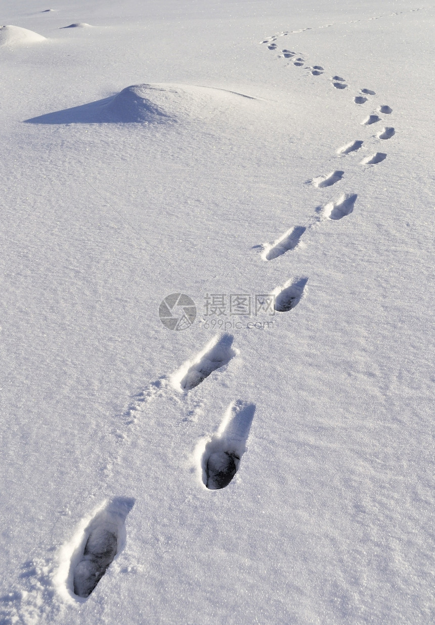 人类在雪雪中的足迹图片