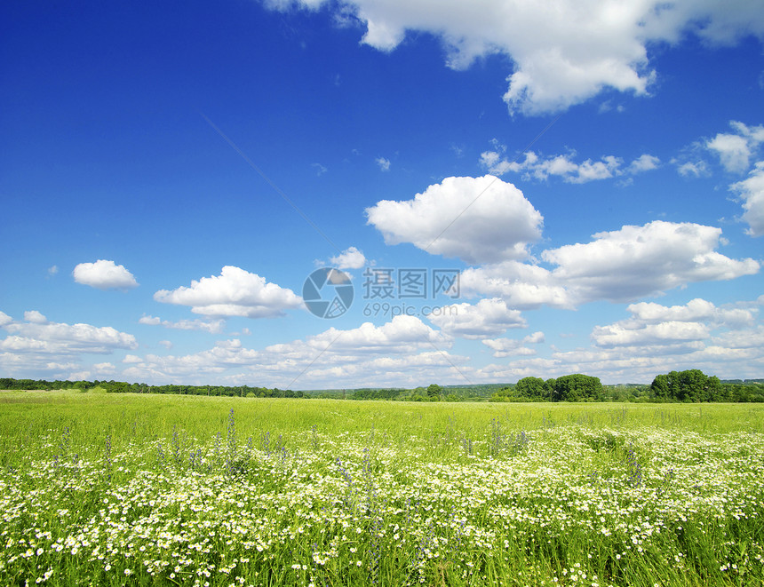 字段天空远景土地阳光绿色草地牧场天气植物乡村图片