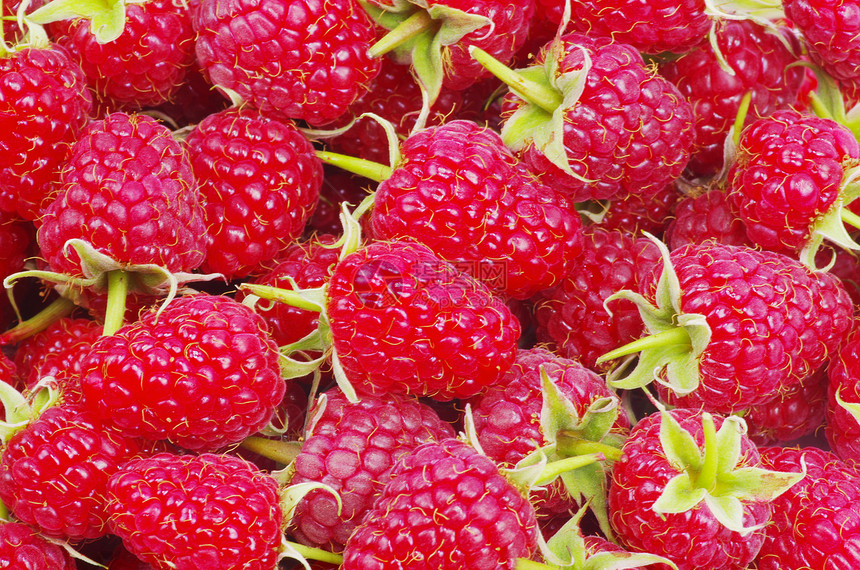 树莓草莓美丽食物果汁覆盆子营养活力红色白色水果饮食图片