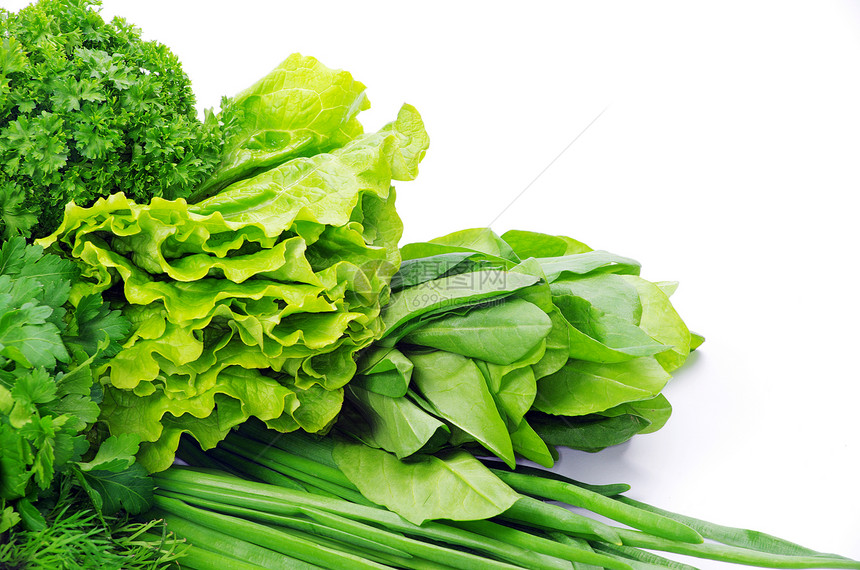 草药枝条草本植物香料香菜团体药品绿色食物植物叶子图片