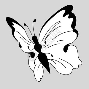 灰色背景上的矢量对齐蝴蝶背景图片