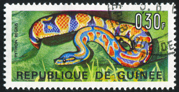 蛇邮票Python 符号邮资信封眼睛爬虫邮戳古董集邮邮票捕食者野生动物背景