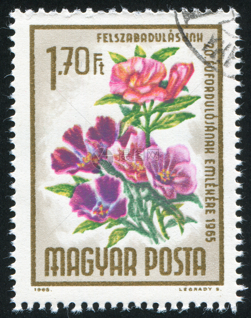 一堆鲜花历史性集邮花店植物邮票植物学邮件花束信封邮戳图片