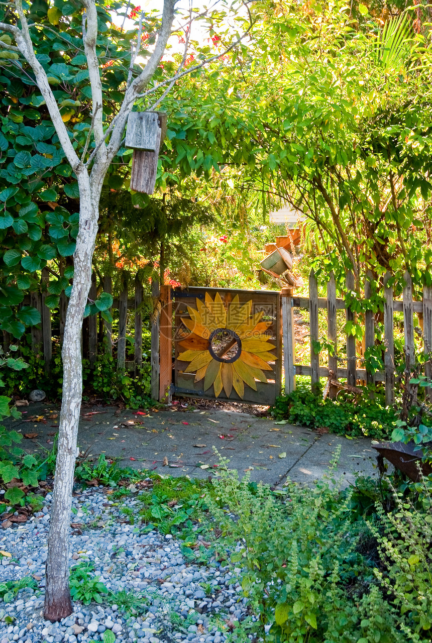 花园入口住宅绿色季节栅栏财产向日葵生长植物园艺图片