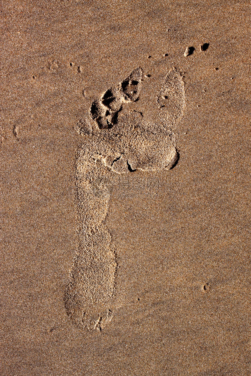 脚注标记脚跟晴天阳光假期痕迹边缘热带脚趾海岸打印图片