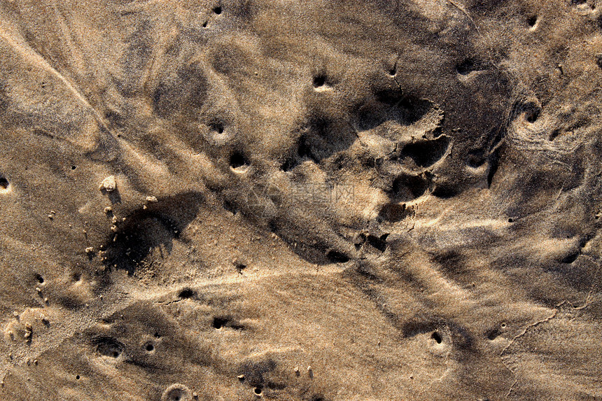 海沙沙海岸金子太阳二氧化硅漂移干旱海滩沙漠沙丘地标图片