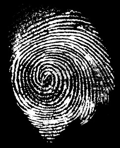 拇指指纹缩略图打印素描刑事手指鉴别油漆调查拇指框架探测身份背景