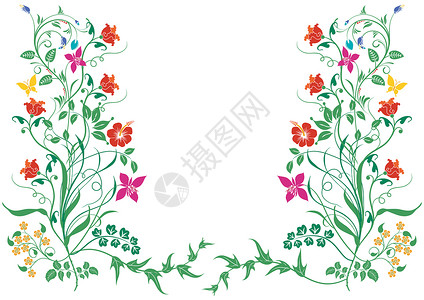 佛罗里达花花植物分支设计插图粉色花园繁荣装饰花艺玫瑰植物学插画