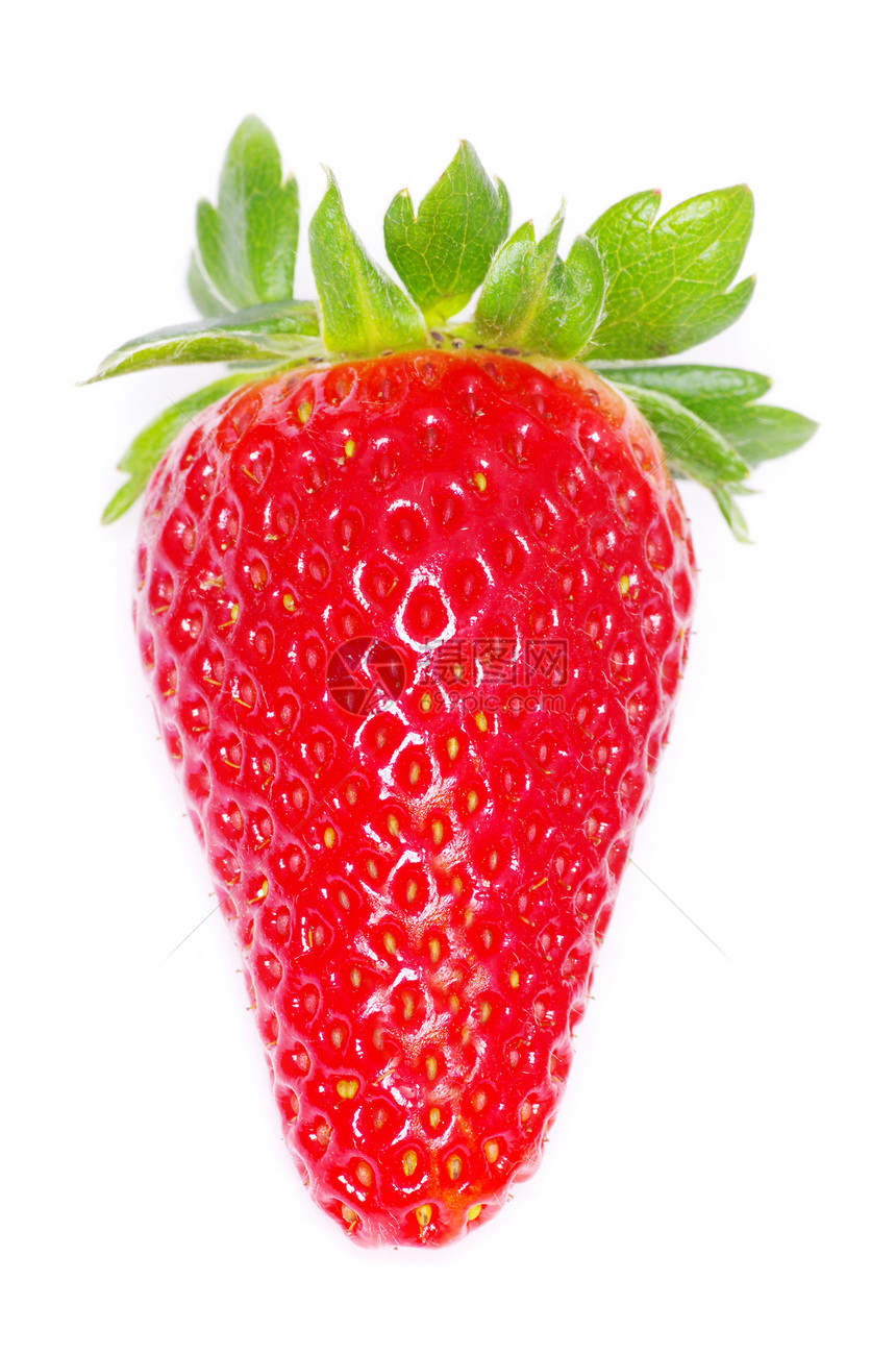 草莓水果红色浆果白色团体绿色食物宏观叶子种子图片