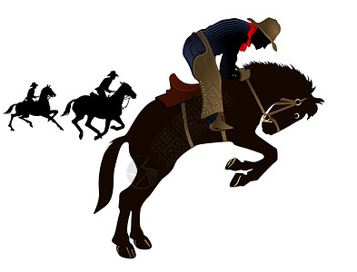 竞拍家畜男人牛仔乡村牧场表演男性白色骑手背景图片