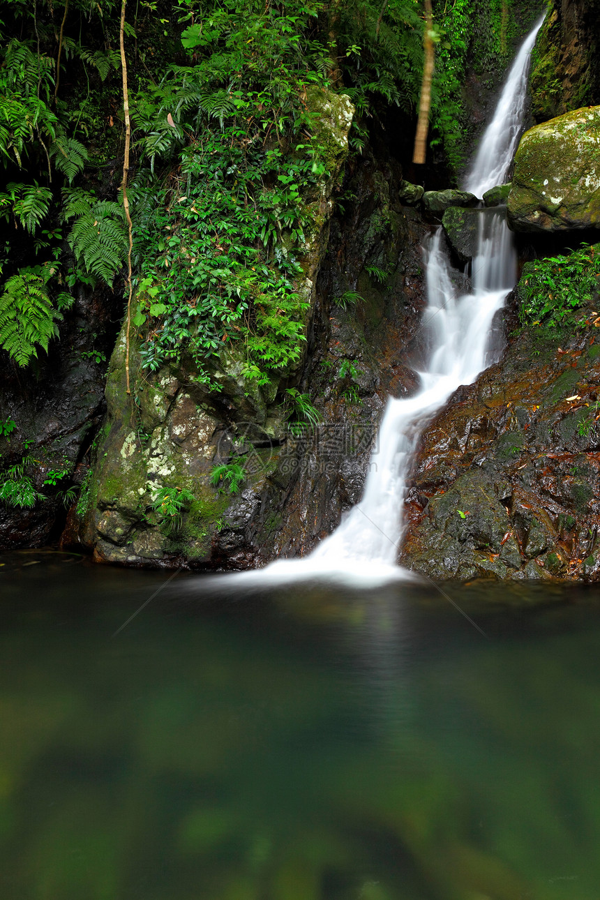 森林的瀑布公园旅游场景钓鱼岩石树木远足叶子旅行假期图片
