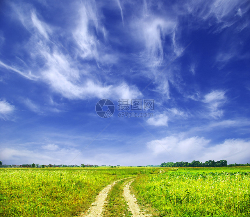 字段季节场地风景牧场乡村农场绿色远景土地草地图片