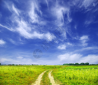 字段季节场地风景牧场乡村农场绿色远景土地草地背景图片