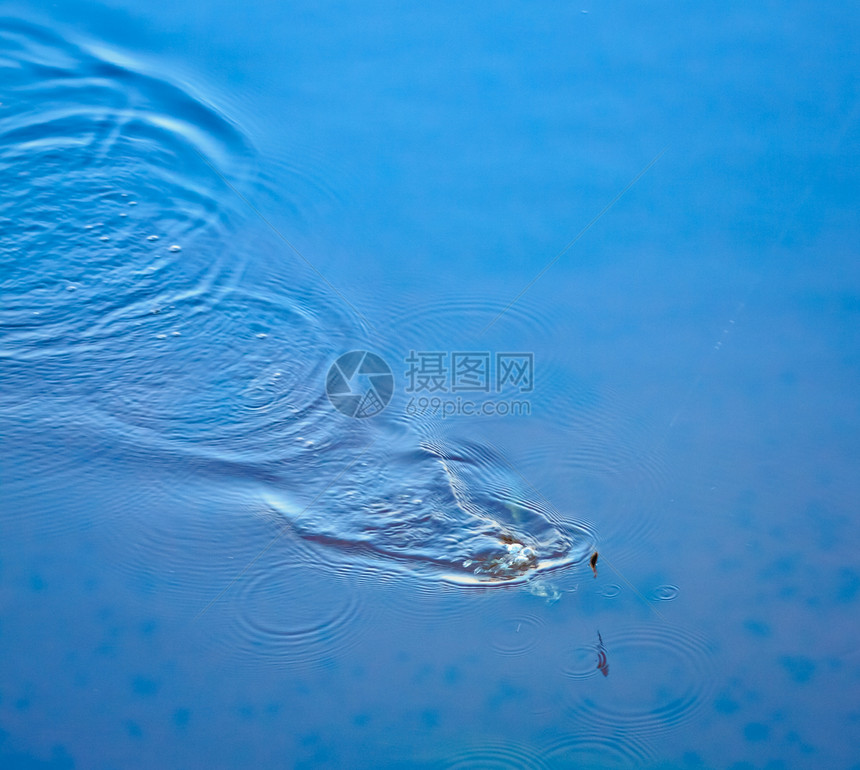 池水飞溅池塘涟漪圆圈液体水池海浪反射温泉墙纸图片