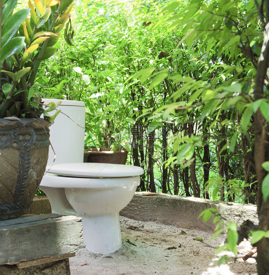 室内厕所植物马桶陶瓷浴室风光绿色田园外屋图片