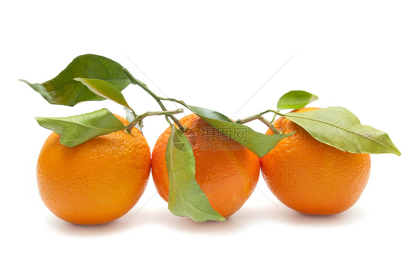 新鲜橙色叶子植物饮食农业白色甜点季节食物水果绿色图片